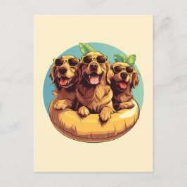 Golden Retriever Dogs Summer Pool Floods Postkarte