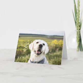 Golden Retriever "Du bringst mich zum Lächeln" Gru Karte