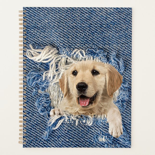 Golden Retriever en Blue Jean Hole (Devant)