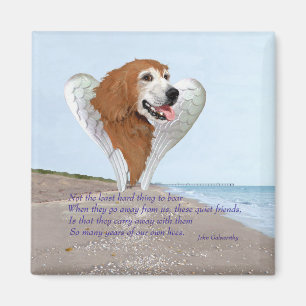 Golden Retriever Engel Magnet