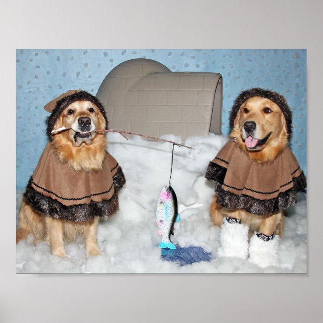 Golden Retriever Eskimos Poster (Vorne)