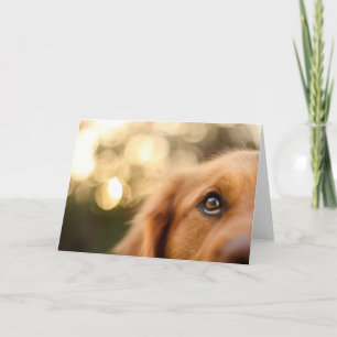 Golden Retriever Eye Closeup Karte
