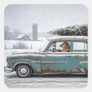 Golden Retriever fährt Retro-Auto mit Tannenbaum Quadratischer Aufkleber