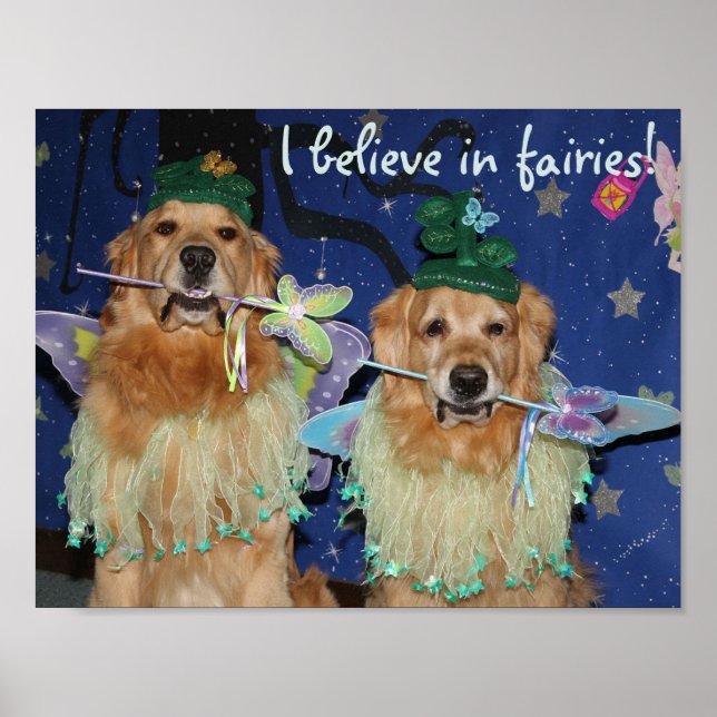 Golden Retriever Fairies Poster (Vorne)