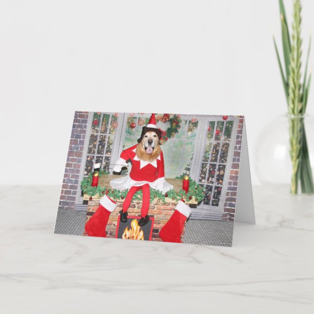 Golden Retriever Feuerplatz Weihnachtself Feiertagskarte (Vorderseite)