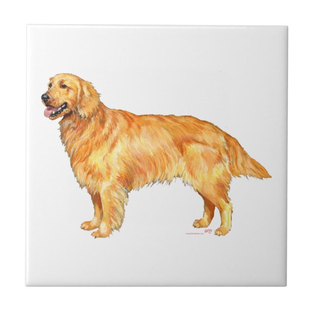 Golden Retriever Fliese (Vorderseite)