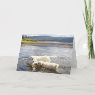 Golden Retriever Foto Card Karte
