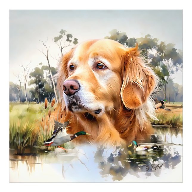 Golden Retriever Fotodruck (Vorne)