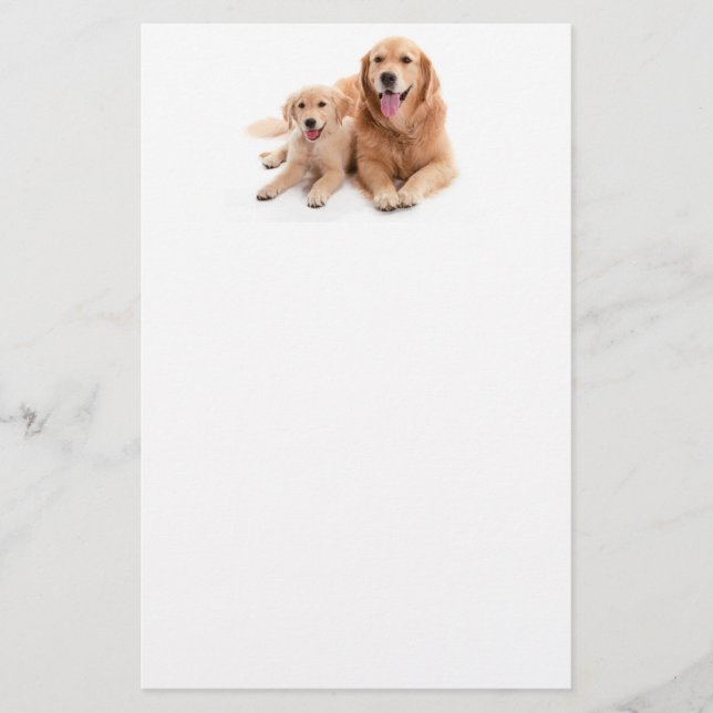 Golden retriever-Freunde Briefpapier (Vorderseite)