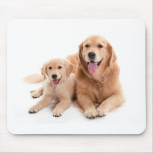 Golden retriever-Freunde Mousepad