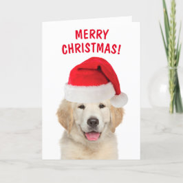 Golden Retriever Frohe Weihnachten