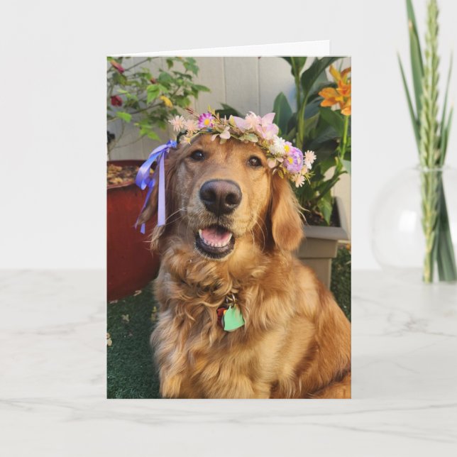 Golden Retriever Frühling oder Alltags Karte (Vorderseite)