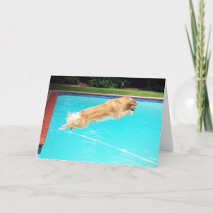 Golden Retriever Geburtstag Karte