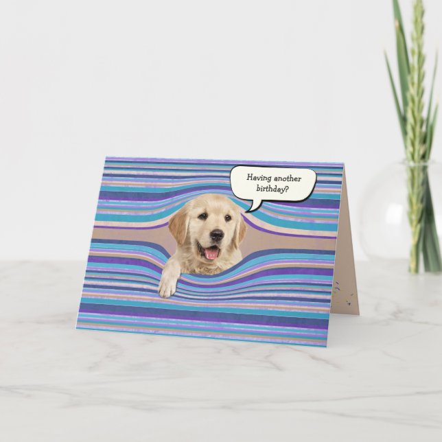 Golden Retriever Geburtstagsstreifen Karte (Vorderseite)