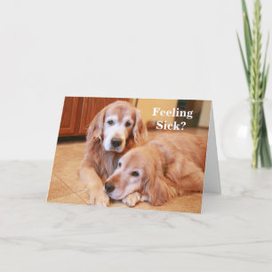 Golden Retriever Gefühl Sick Get Well Karte
