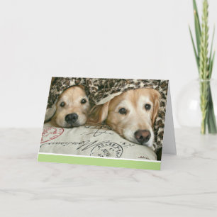 Golden Retriever Gefühl Sick Get Well Karte