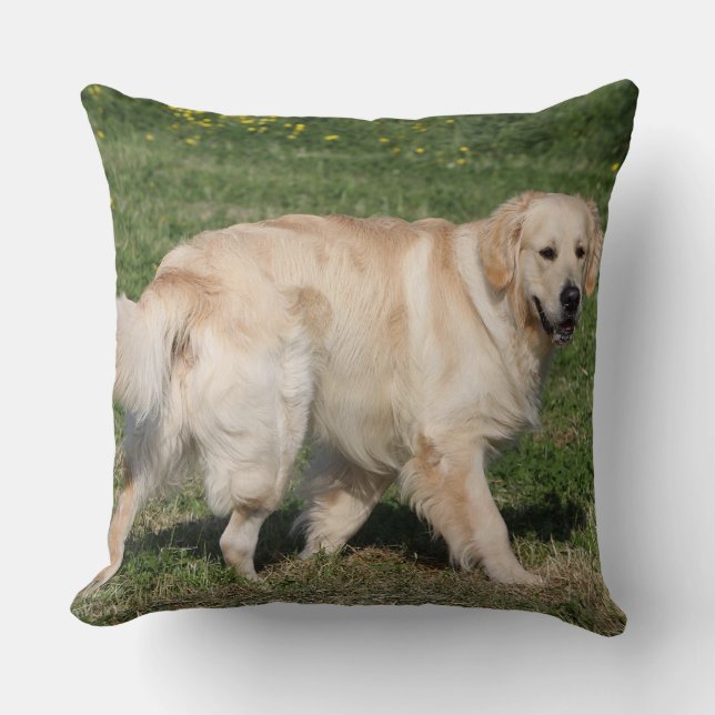 Golden retriever-Gehen Kissen (Vorderseite)
