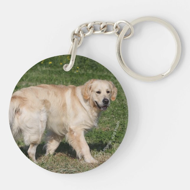 Golden retriever-Gehen Schlüsselanhänger (Rückseite)