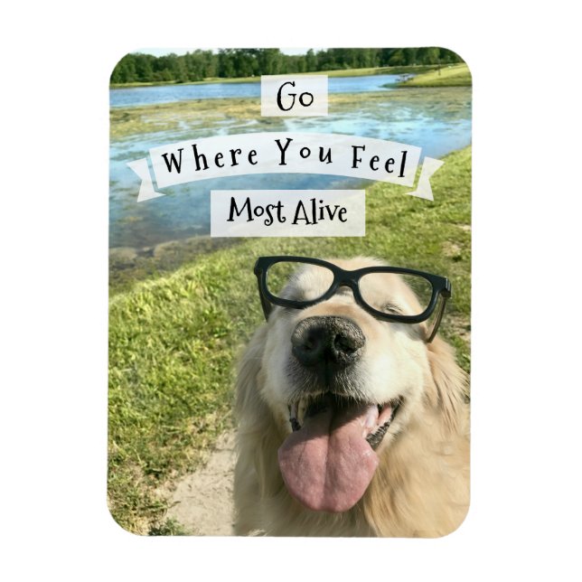 Golden Retriever gehen, wo Sie sich inspirieren fü Magnet (Vertikal)