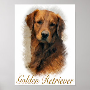 Golden retriever-Geschenk-Kunst-Druck Poster
