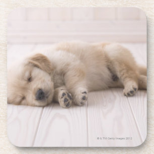 Golden retriever getränkeuntersetzer