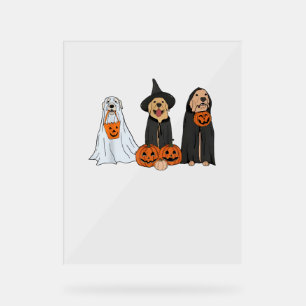 Golden Retriever Ghost Halloween Trick oder Treat Acrylschild