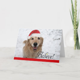 Golden Retriever Glaube Weihnachten