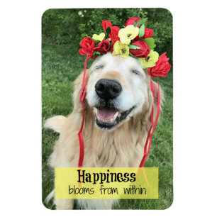 Golden retriever-Glück-Blüte aus Magnet