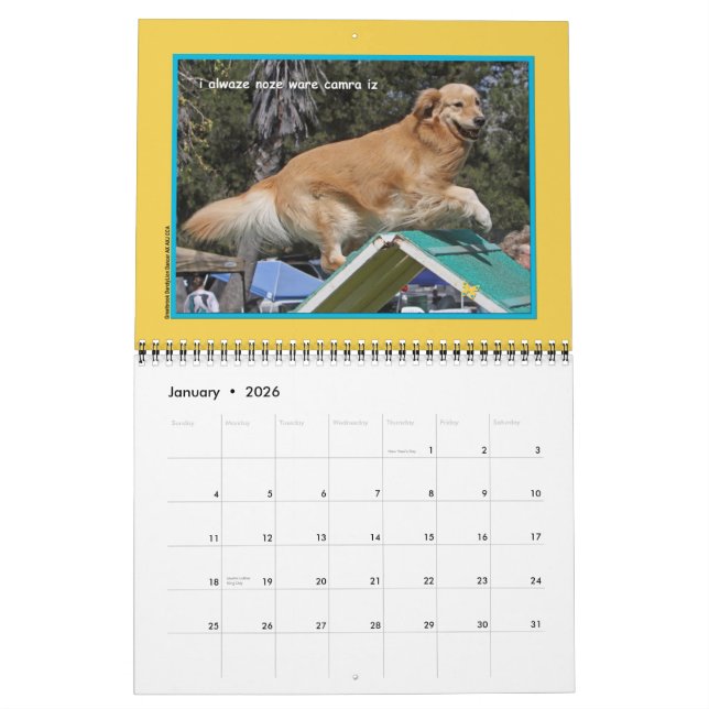 Golden Retriever "Goldens Rule" 12-monatiger Kalen Kalender (Jan 2026)