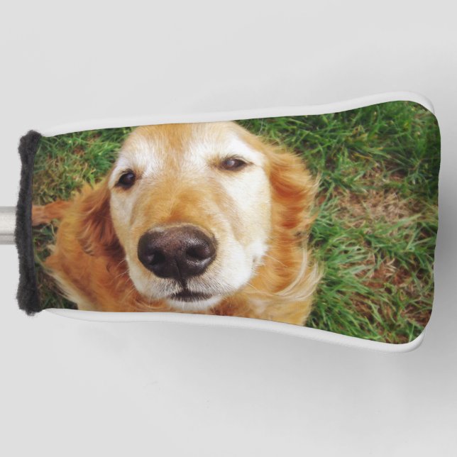 Golden Retriever Golf Head Cover Headcover (Vorderseite)