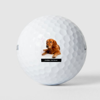 Golden Retriever Golfball