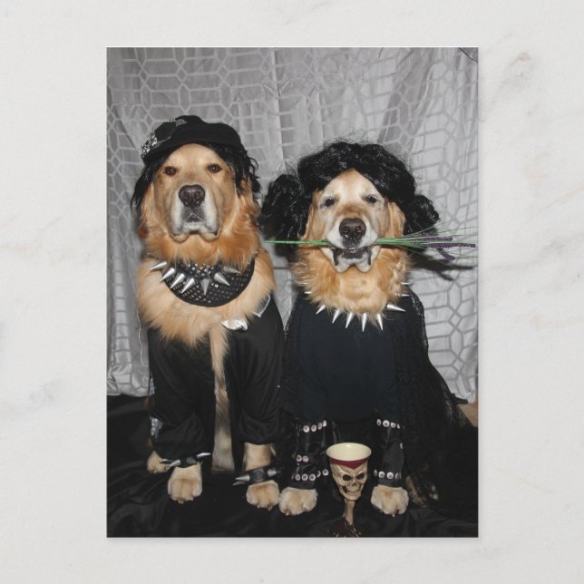 Golden Retriever Goth Style Postkarte (Vorderseite)