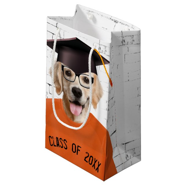 Golden Retriever Graduate mit Orange T - Shirt Kleine Geschenktüte (Vorderseite Schrägansicht)