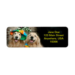 Golden Retriever Groovy Rücksendeadressen-Aufklebe