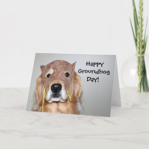 Golden Retriever Groundhop Day Card Karte