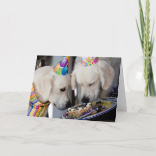 Golden Retriever Grußkarte Karte