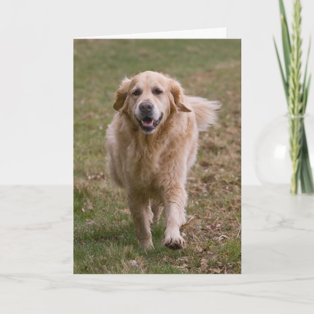 Golden Retriever Grußkarte Karte (Vorderseite)