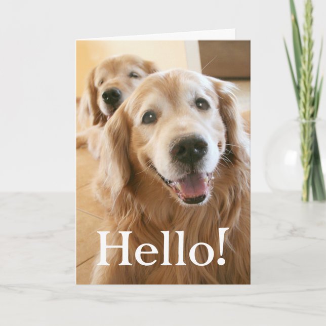 Golden Retriever Hallo Karte (Vorderseite)