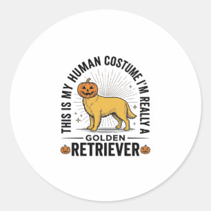 Golden Retriever Halloween-Kürbiskostüm-Design_ Runder Aufkleber