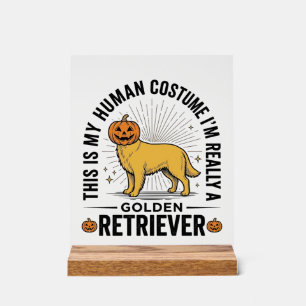 Golden Retriever Halloween-Kürbiskostümentwurf_ Acrylschild