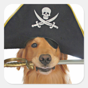 Golden retriever-Halloween-Pirat Quadratischer Aufkleber