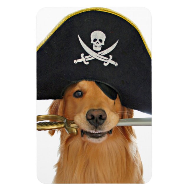 Golden Retriever Halloween Pirate Magnet (Vertikal)