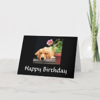 Golden Retriever Happy Birthday Card