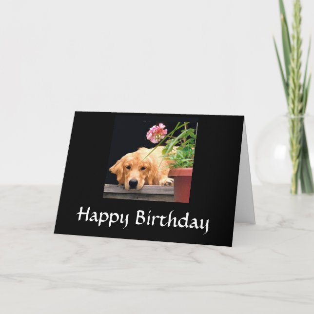 Golden Retriever Happy Birthday Card Karte (Vorderseite)