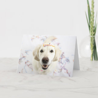 Golden Retriever Happy Birthday Grußkarte Karte