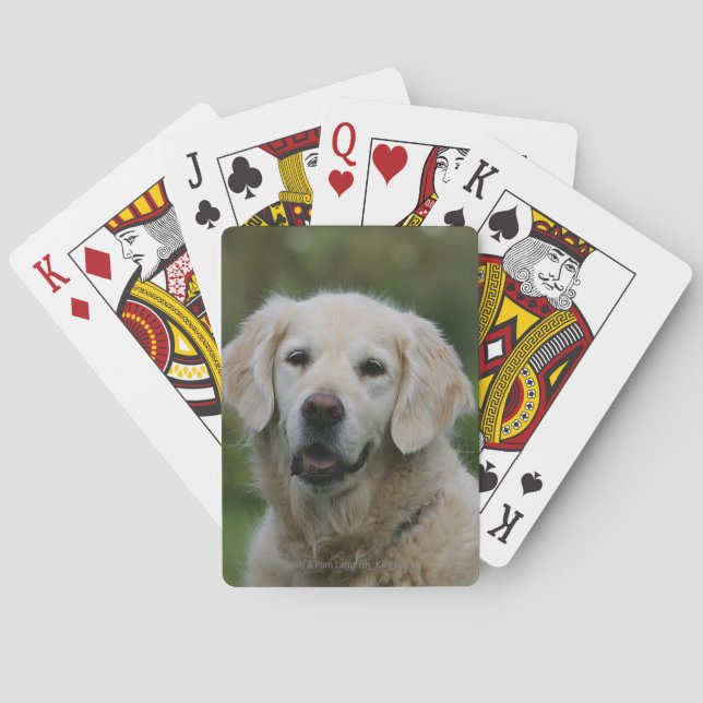 Golden Retriever Headshot 2 Spielkarten (Rückseite)