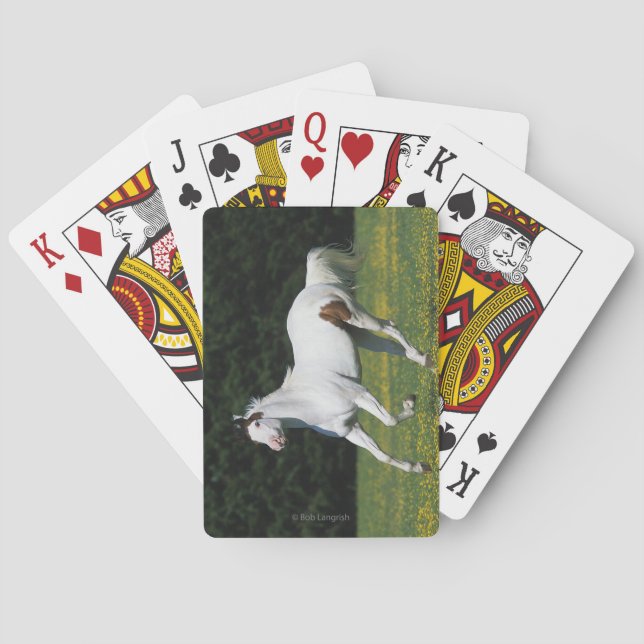 Golden Retriever Headshot 3 Deck Of C - Customized Spielkarten (Rückseite)