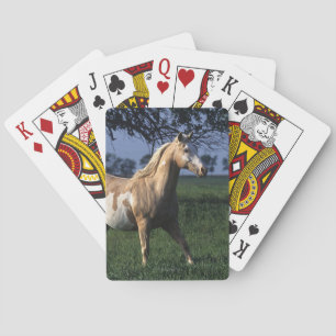 Golden Retriever Headshot 3 Deck Of C - Customized Spielkarten