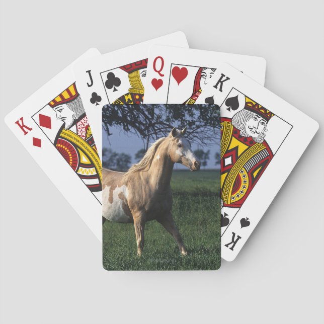 Golden Retriever Headshot 3 Deck Of C - Customized Spielkarten (Rückseite)