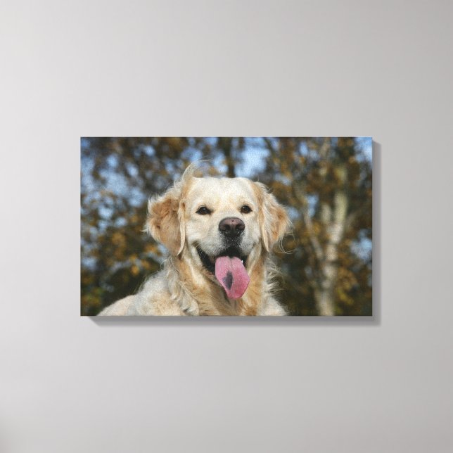Golden Retriever Headshot 3 Leinwanddruck (Vorderseite)